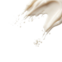 Cholestérol