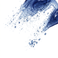 Extrait de bleuet